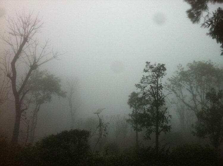 曾经🎤V娱热点