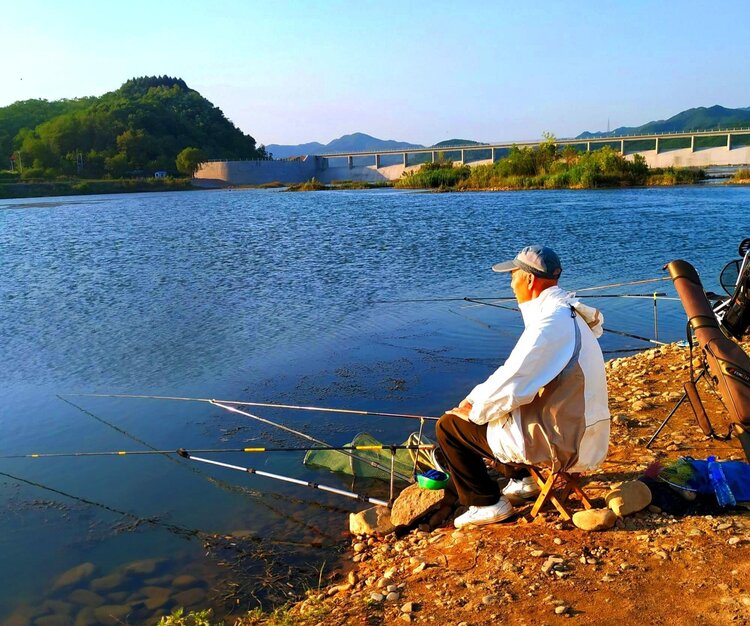 首發我和小鷺鳥的情緣