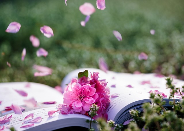 小浅🎤V娱热点