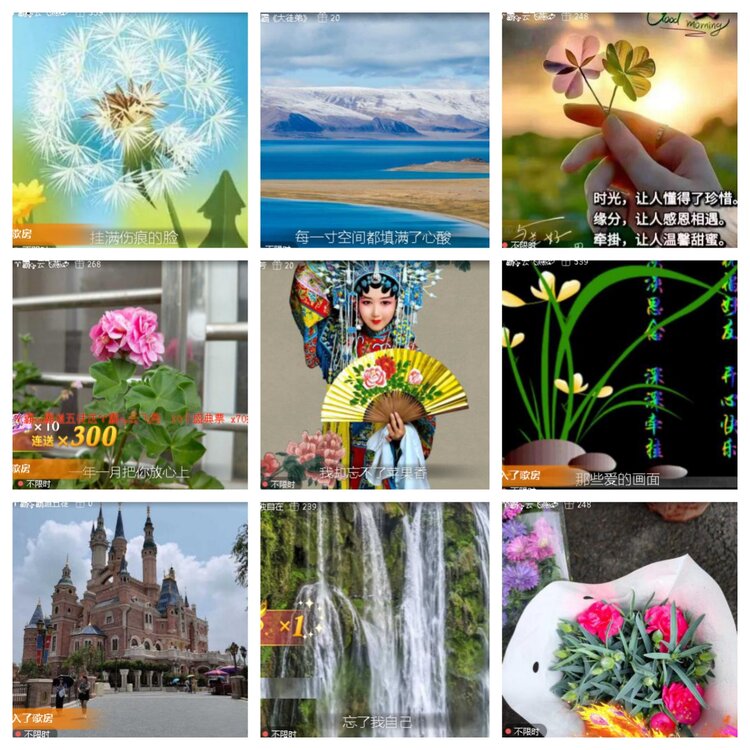 小浅🎤V娱热点