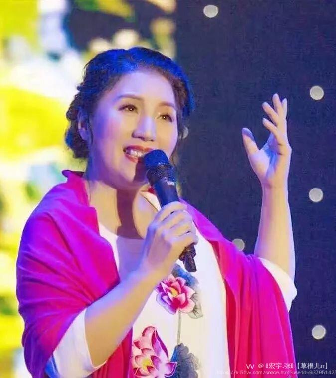 🎤宏宇.张🎤【草根儿π】