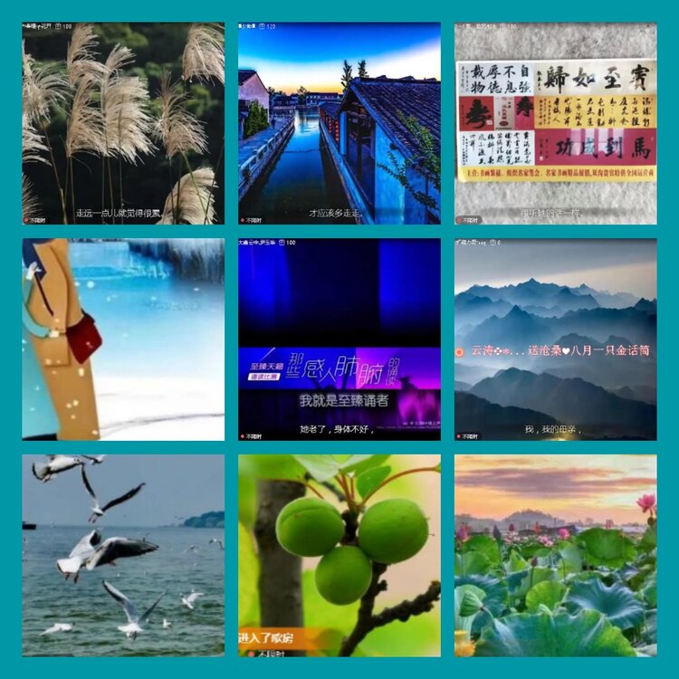 杜影🎤V娱热点