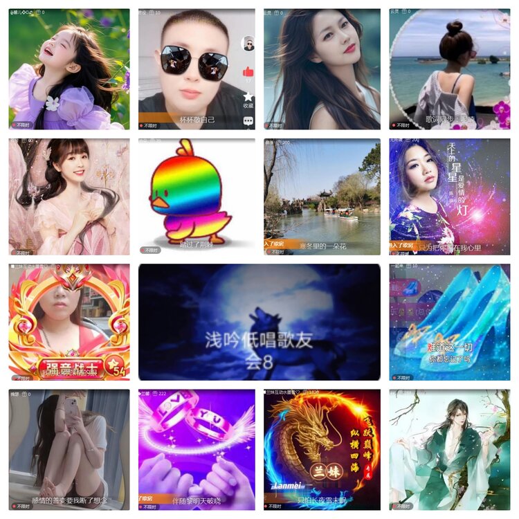 海燕🎤V娱热点