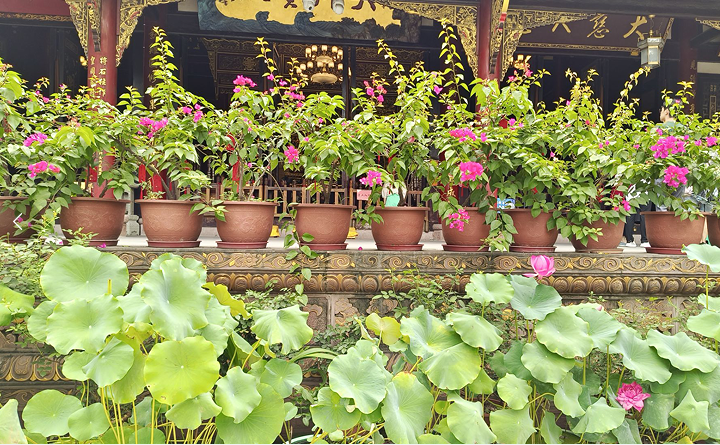 雪儿🎤V娱热点