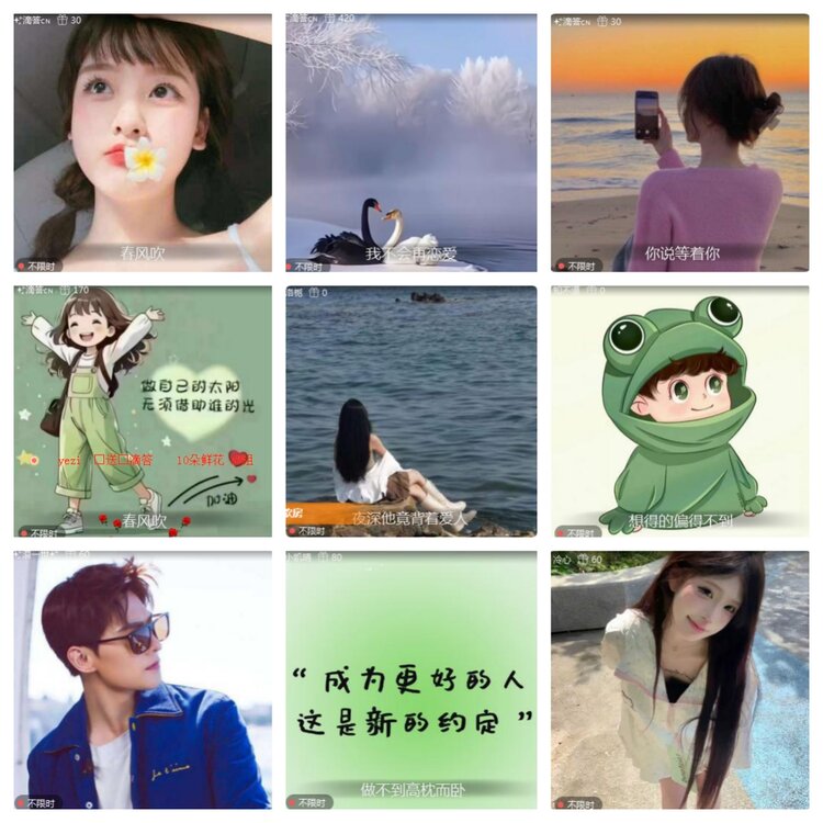 海燕🎤V娱热点