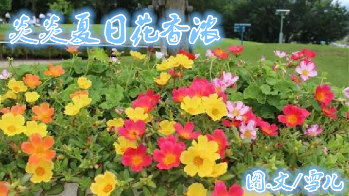 雪儿🎤V娱热点