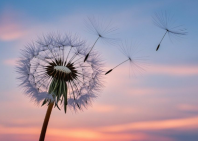 飘雪🎤V娱热点