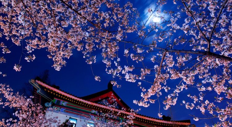 曾经🎤V娱热点