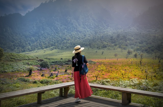 小浅🎤V娱热点