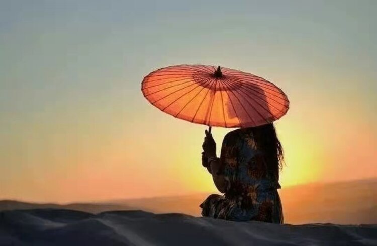 向阳花