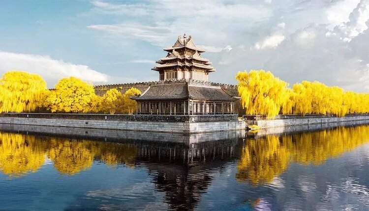 江南乔乔【螺号音乐学院】