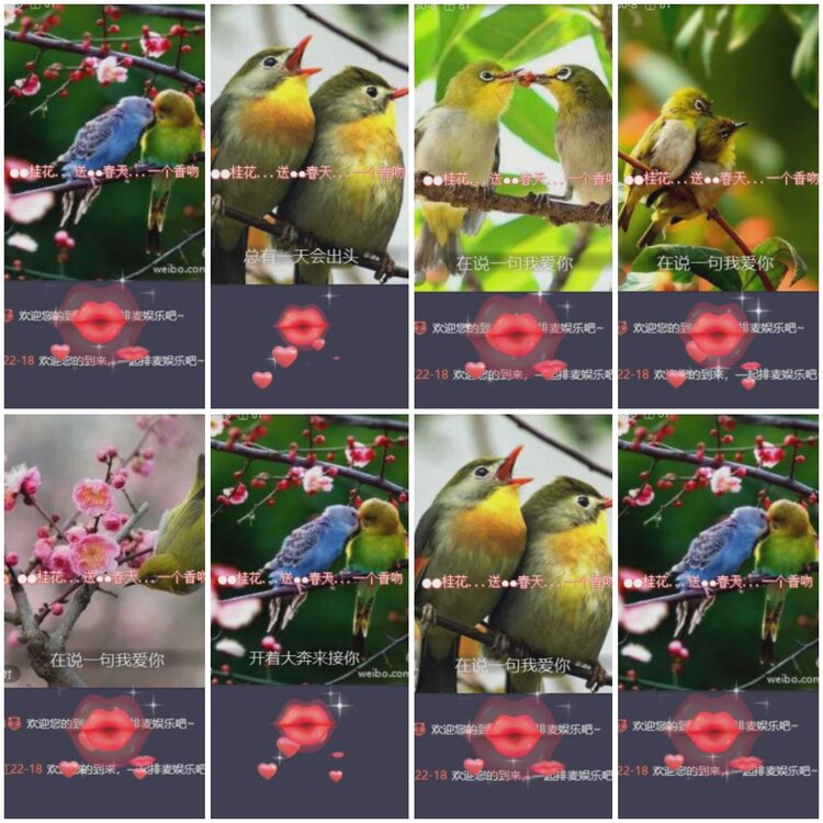 思点🎤V娱热点