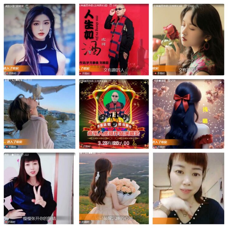 海燕🎤V娱热点