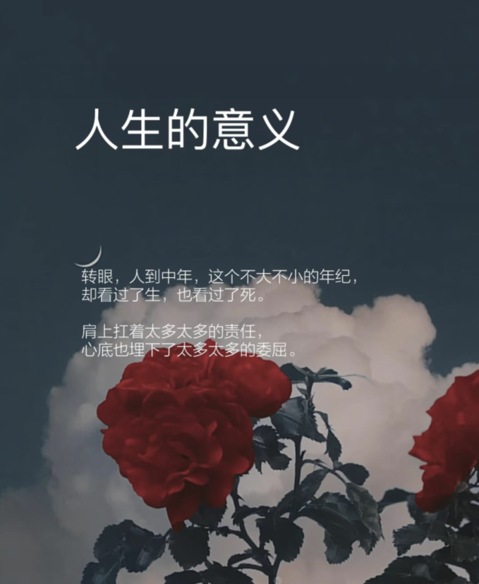 飘雪🎤V娱热点