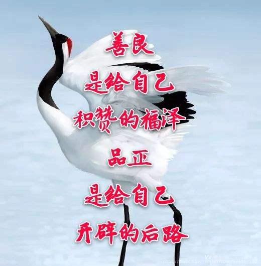 【首发】感悟人生;做人善良,心安一生!77150596