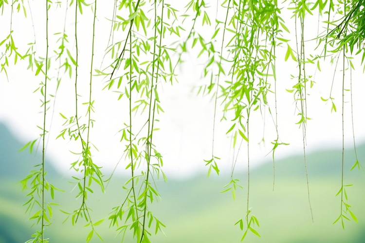 曾经🎤V娱热点