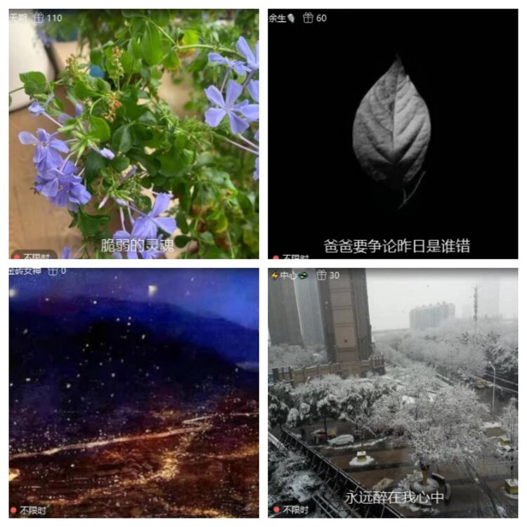 苏苏🎤V娱热点