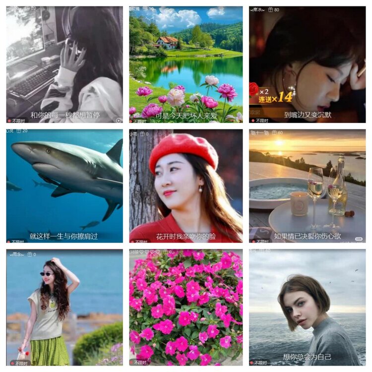 梅香🎤V娱热点