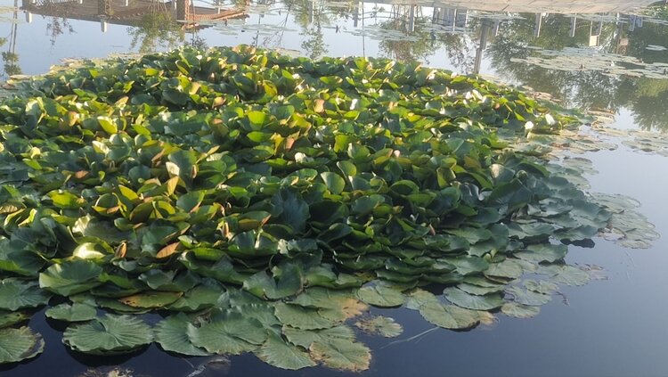 雪儿🎤V娱热点