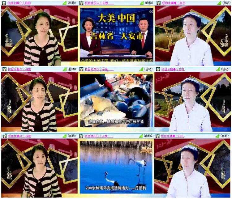 漂泊🎤V娱热点