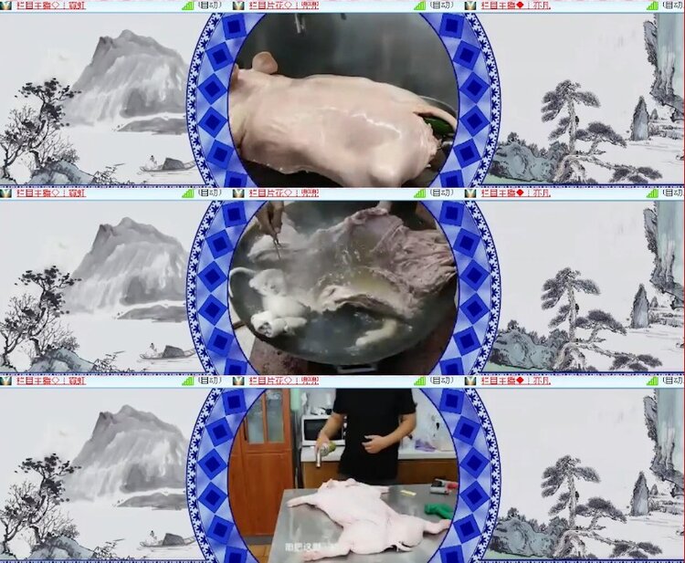 小朵🎤V娱热点