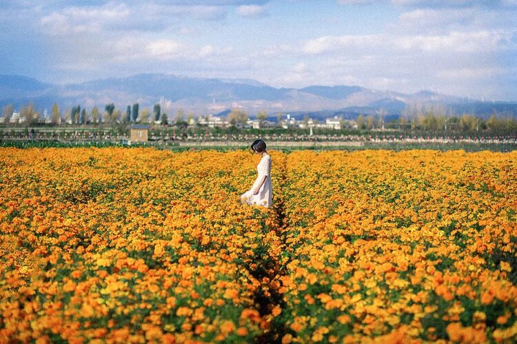 小浅🎤V娱热点