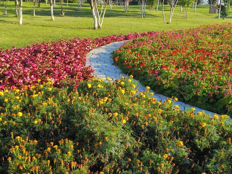 雪儿🎤V娱热点