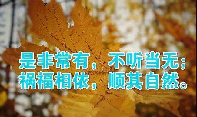 感悟人生匆匆如浮雲寸金難買寸光陰守啥不如守本分紅塵只渡有緣人