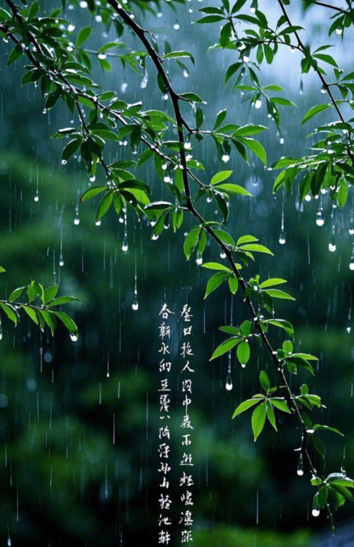 雪儿🎤V娱热点