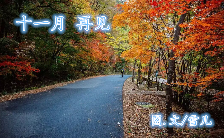 雪儿🎤V娱热点