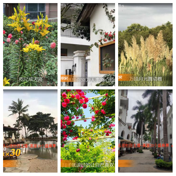 芯薇🎤V娱热点