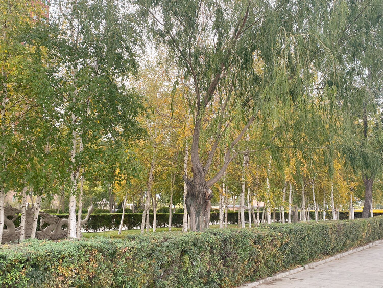 雪儿🎤V娱热点