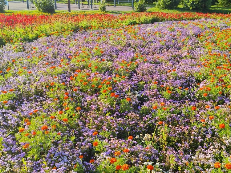 雪儿🎤V娱热点