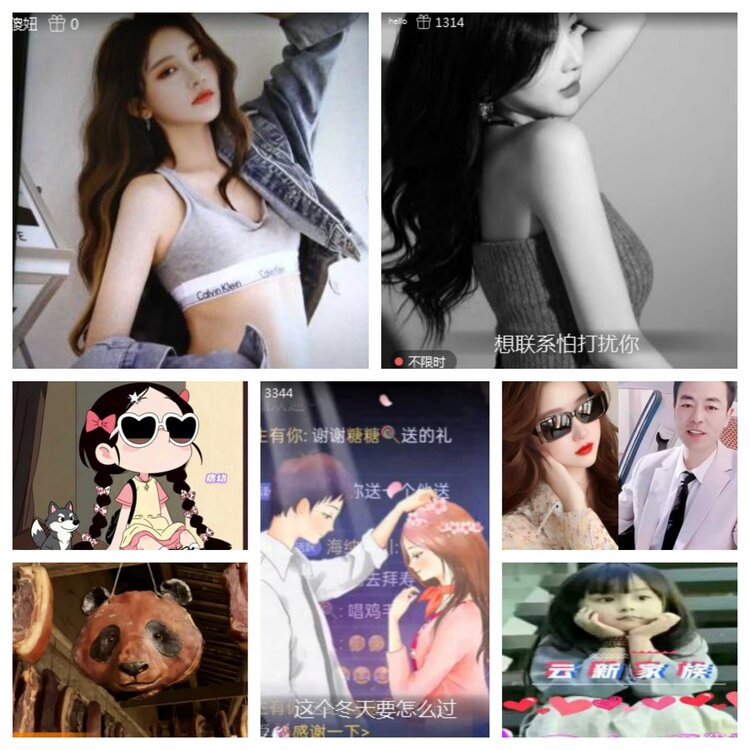 海燕🎤V娱热点