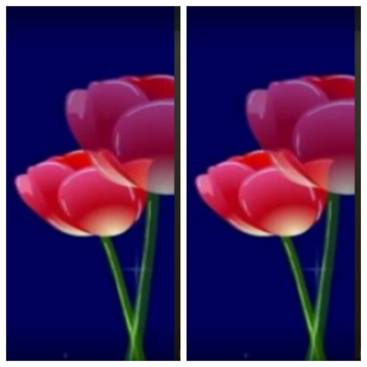 小浅🎤V娱热点