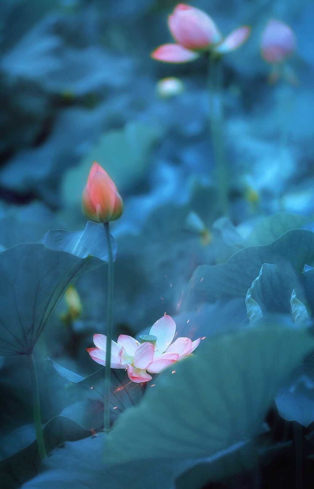 深入解析