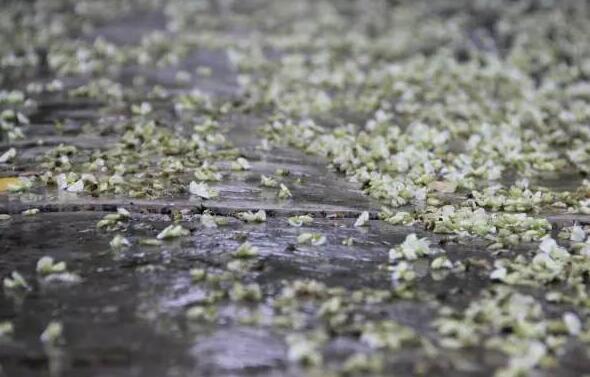 曾经🎤V娱热点