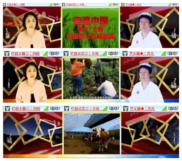 执白🎤V娱热点