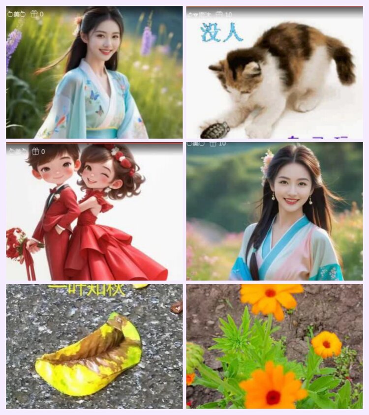 航航🎤V娱热点