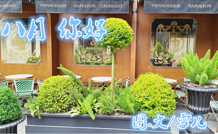 雪儿🎤V娱热点