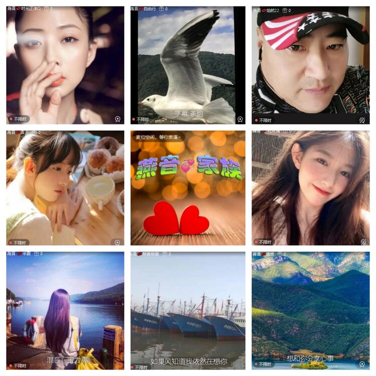 心玫🎤V娱热点