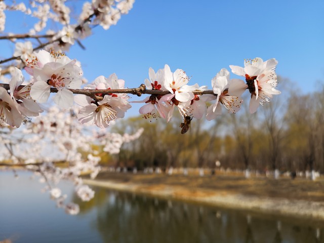 小浅🎤V娱热点
