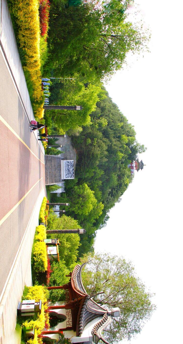 枣庄卧龙公园图片