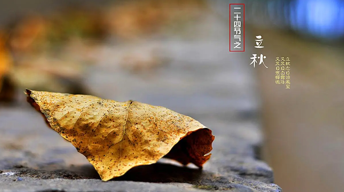 雪儿🎤V娱热点