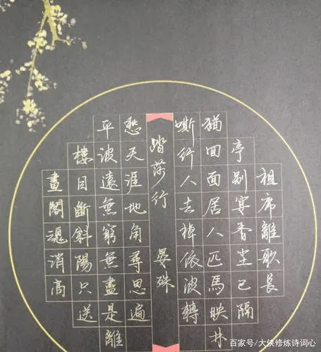 飞机模型