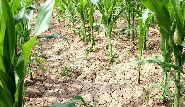 雪儿🎤V娱热点