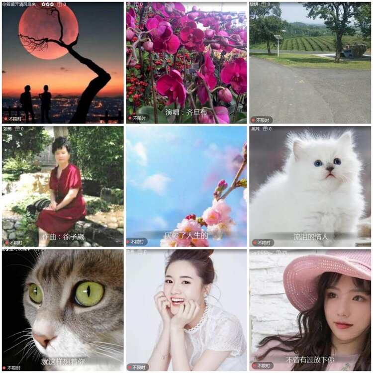 思点🎤V娱热点