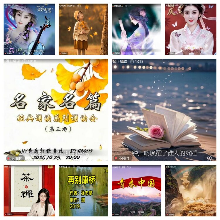 浓茶🎤V娱热点
