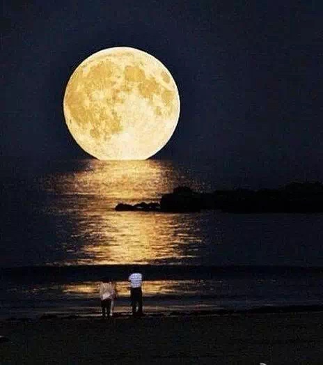 梦里寻见镜中月,离人镜上看桃花.