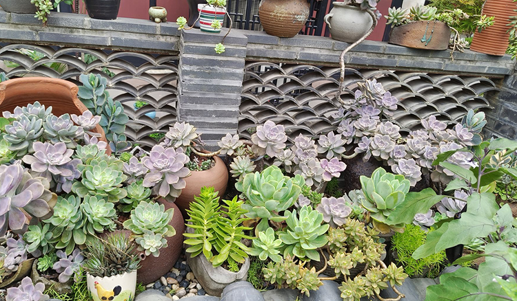 雪儿🎤V娱热点